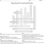 Asian Cat Breed Crossword Clue