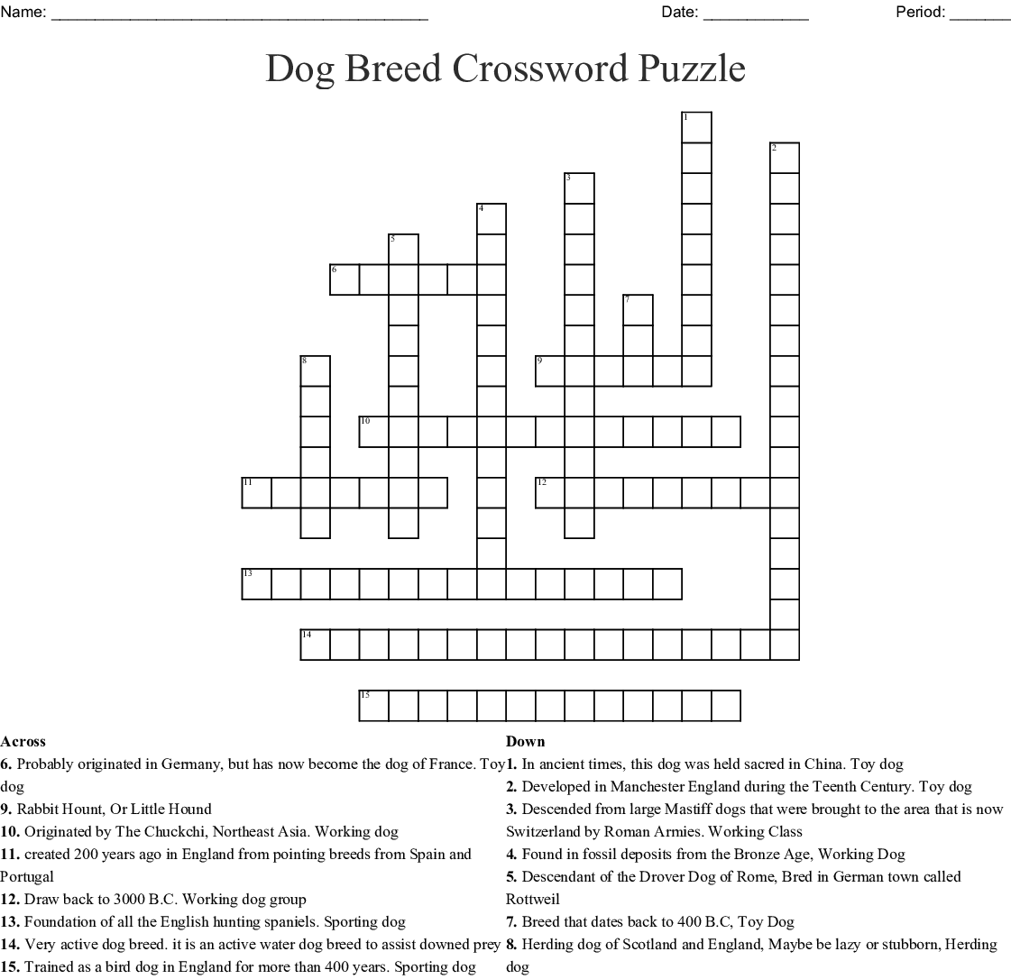 Asian Cat Breed Crossword Clue