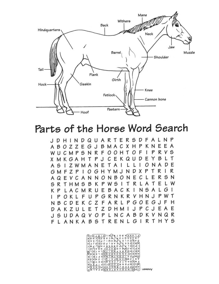 Horse Crossword Puzzles Printable