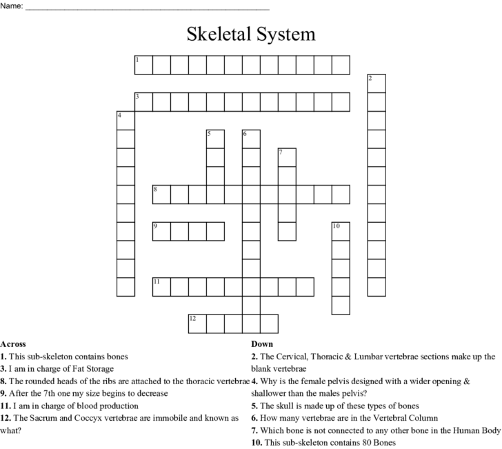 Skeletal System Crossword WordMint | James Crossword Puzzles