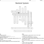The Skeletal System Worksheet Answers Siteraven Printable Skeletal