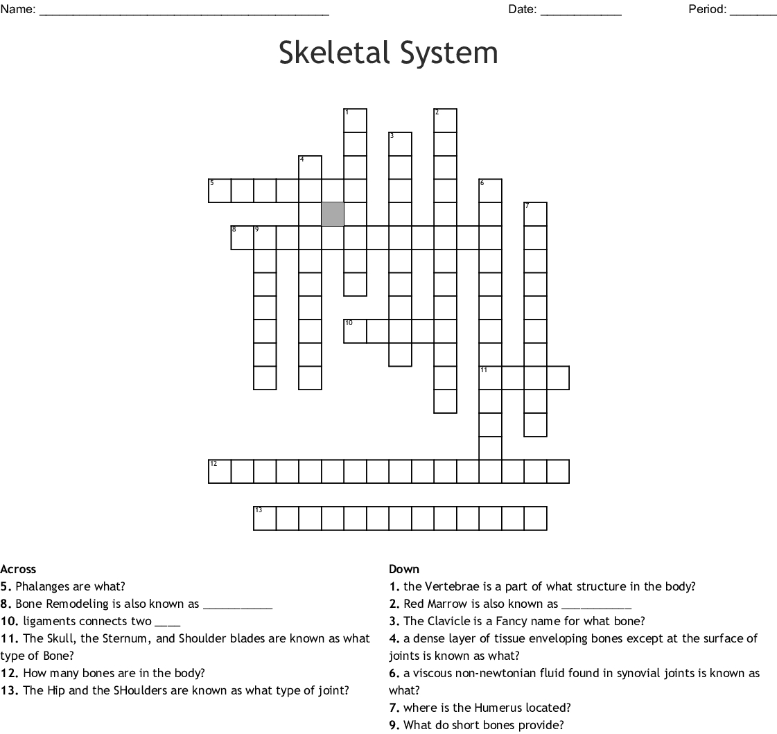 The Skeletal System Worksheet Answers Siteraven Printable Skeletal 