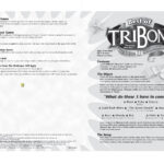 G6848 : Best Of Tribond® Game   Mattel Within Tribond Game Example