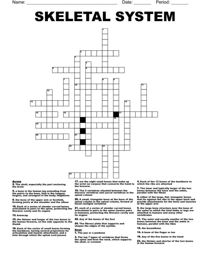 Skeleton Crosswords Printable Skeleton Crosswords Printable