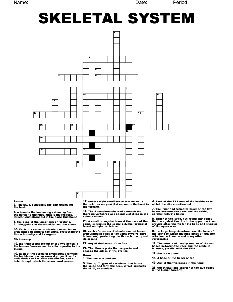Human Skeleton Crossword - Wordmint within Skeleton Crosswords Printable
