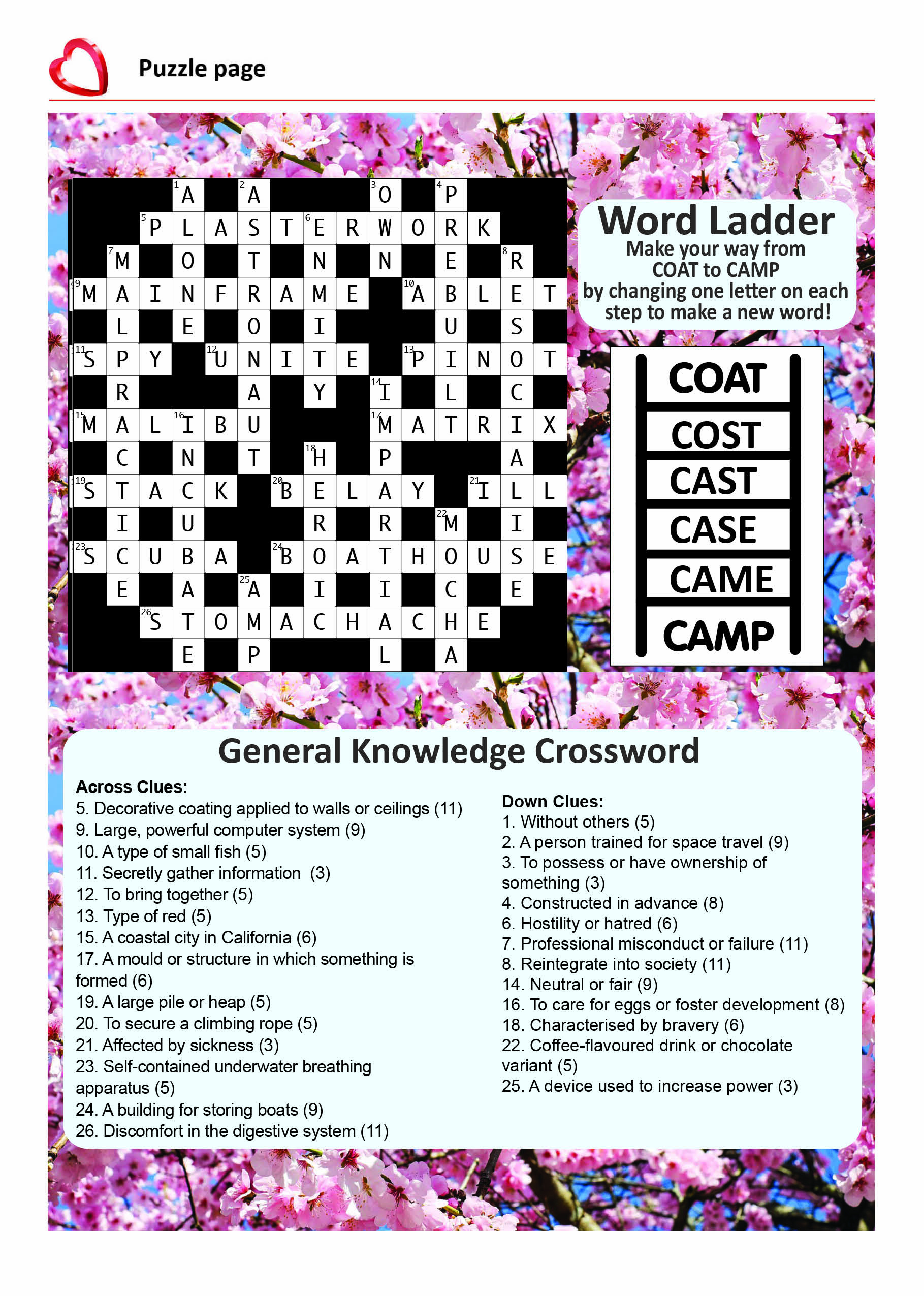 Puzzle Solutions inside Star Magazine Giant Crossword December Issue