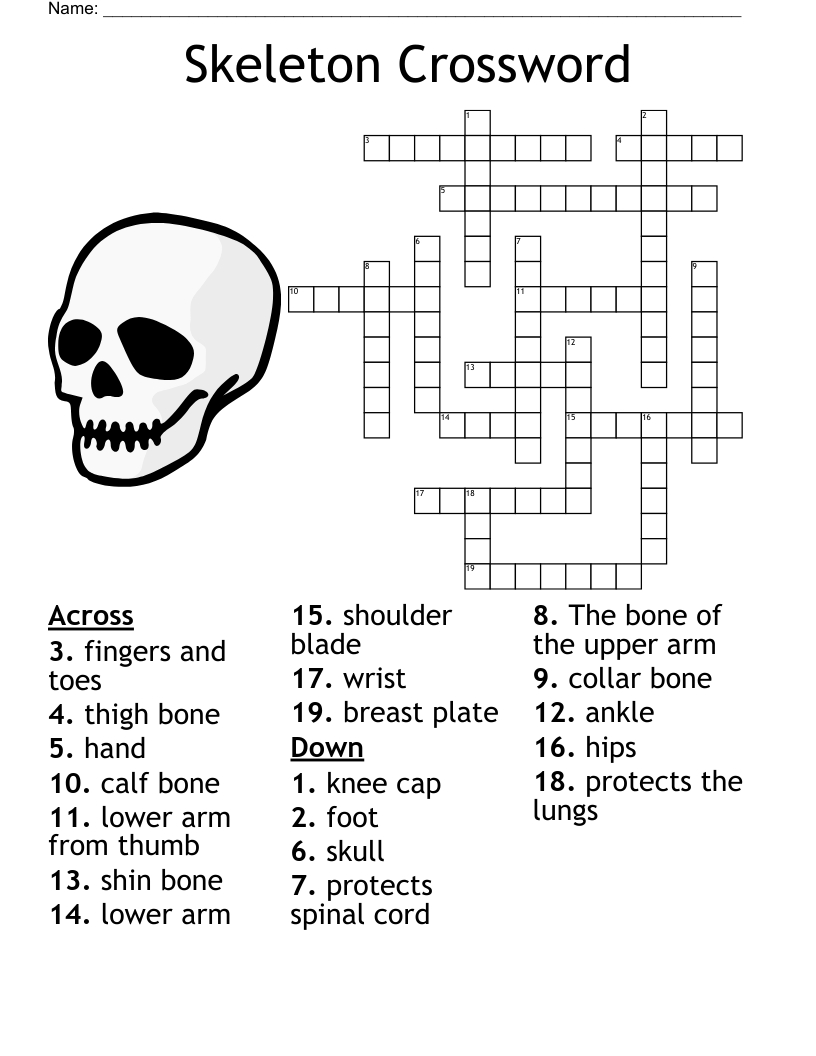 Skeleton Crossword - Wordmint pertaining to Skeleton Crossword Puzzle Printable