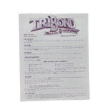 Tribond Diamond Edition Board Game Replacement Instructions, 1998 Within Football Tribond Questions