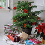 15 Of The Best Christmas Plants | Bbc Gardeners World Magazine In Popular Christmas House Plant Crossword