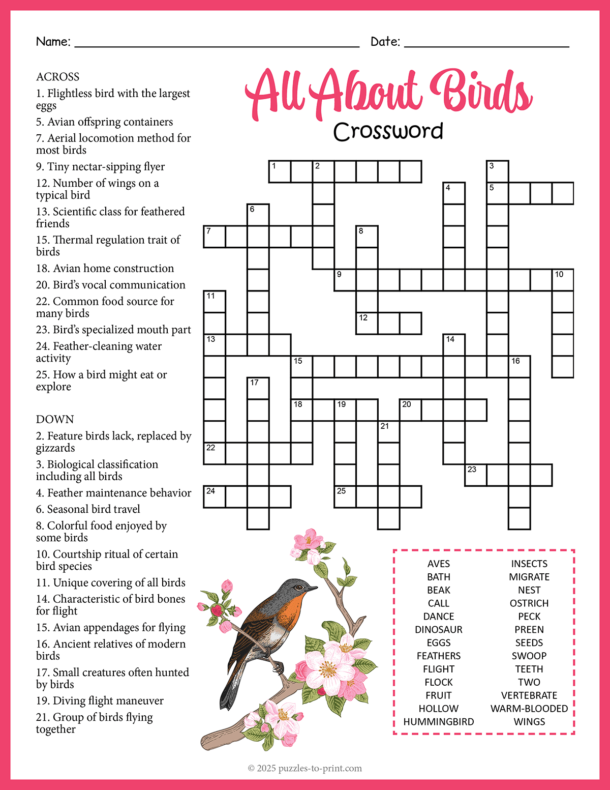 all about birds crossword regarding christmas bird crossword clue All About Birds Crossword regarding Christmas Bird Crossword Clue