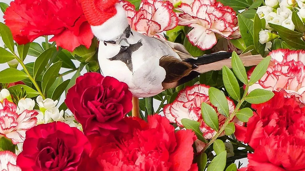 beautiful 27 christmas flowers delivered from family run florist throughout a beautiful red flower christmas crossword Beautiful' £27 Christmas Flowers Delivered From Family-Run Florist throughout A Beautiful Red Flower Christmas Crossword