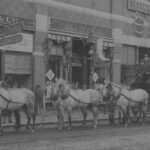 Before Trains And Autos, Stagecoaches Traversed The Midcoast Within Horse Drawn Carriages Delivering Christmas Trees Crossword Clue
