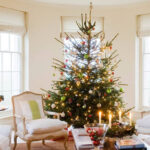 Do Not Put Your Christmas Tree In A Bay Window' This Year Warning With Christmas Tree Trim Crossword