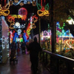 Five Sisters Zoo Will Flip The Switch On Christmas Lights In Christmas Light Locale Crossword