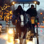 Horse Drawn Rides Delight For Horse Drawn Carriages Delivering Christmas Trees Crossword