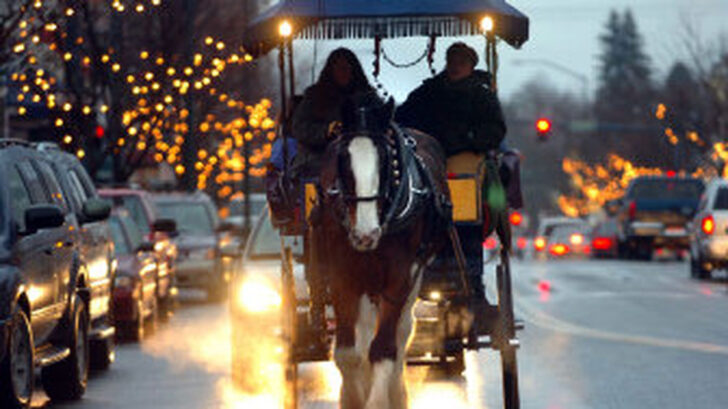 Horse Drawn Carriages Delivering Christmas Trees Crossword Horse Drawn Carriages Delivering Christmas Trees Crossword
