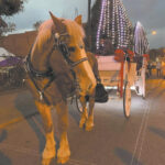 Km Herald 11 16 22Community First Media   Issuu Within Horse Drawn Carriages Delivering Christmas Trees Crossword Clue
