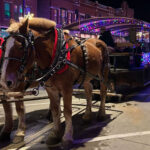 Marion'S Christmas In The Park And Peppermint Walk To Return Dec. 5 With Regard To Horse Drawn Carriages Delivering Christmas Trees Crossword Clue