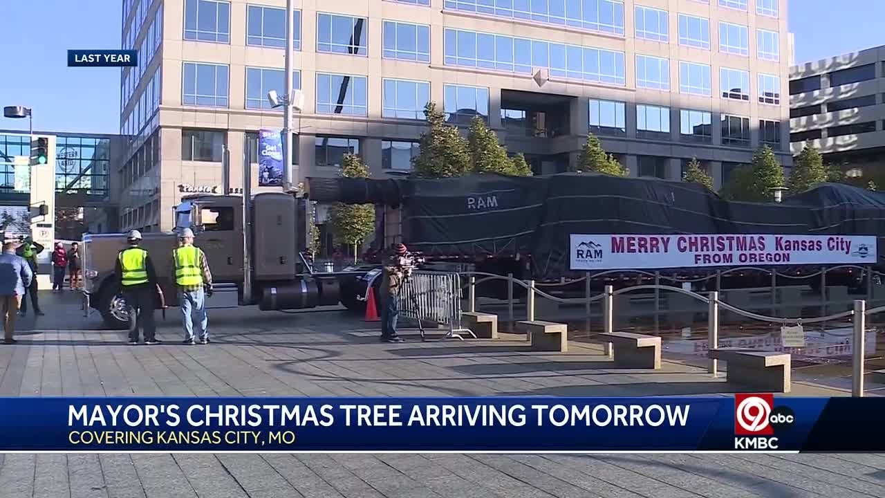 Mayor&amp;#039;S Christmas Tree Arriving In Kansas City On Thursday for Kansas City Christmas Tree Crossword Clue