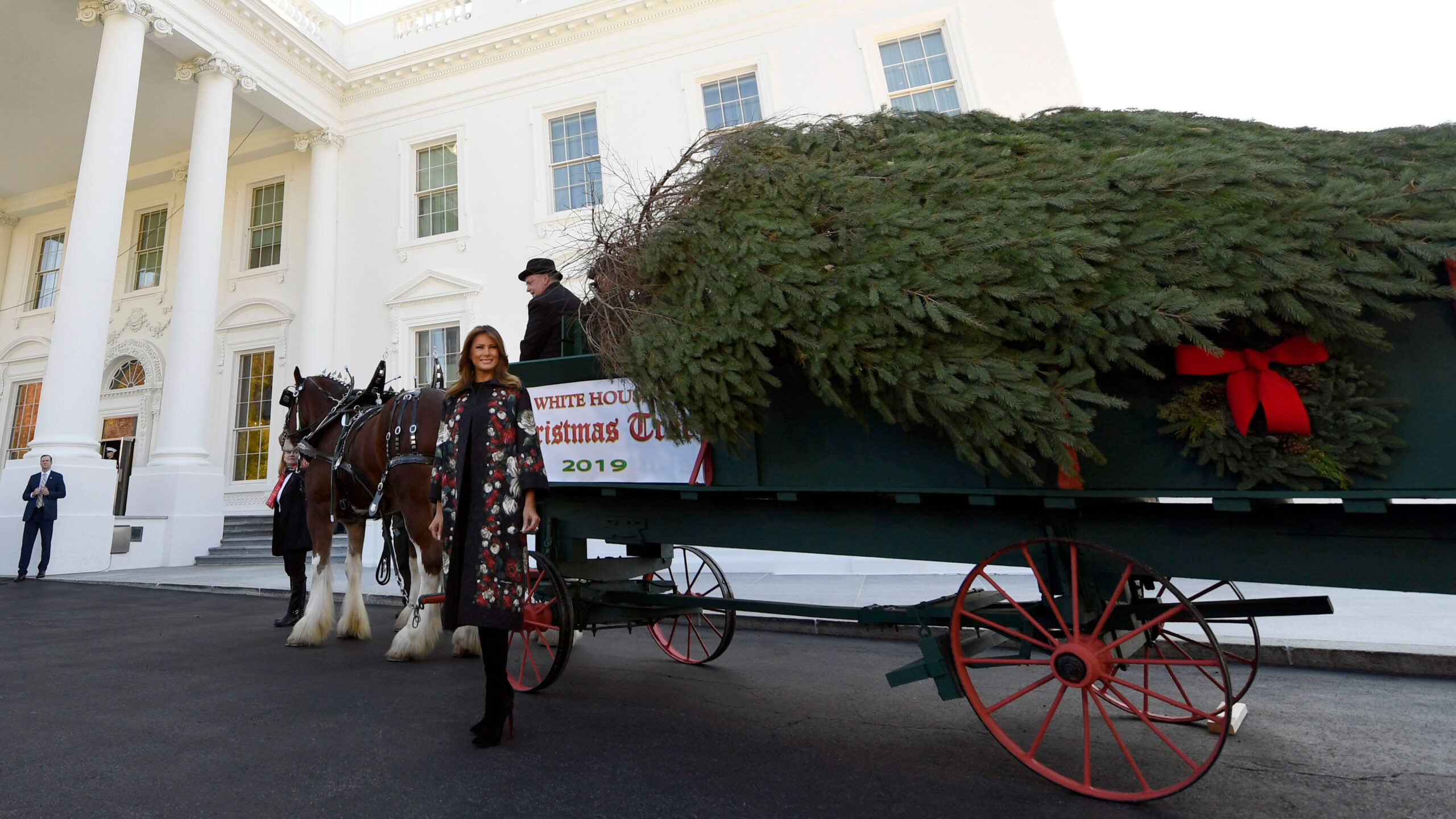melania trump welcomes christmas tree to white house fox news in horse drawn carriages delivering christmas trees crossword scaled Melania Trump Welcomes Christmas Tree To White House | Fox News in Horse Drawn Carriages Delivering Christmas Trees Crossword
