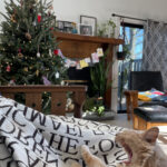 Rex Parker Does The Nyt Crossword Puzzle: Hungarian Violinist With Regard To Gunk On A Christmas Tree Crossword