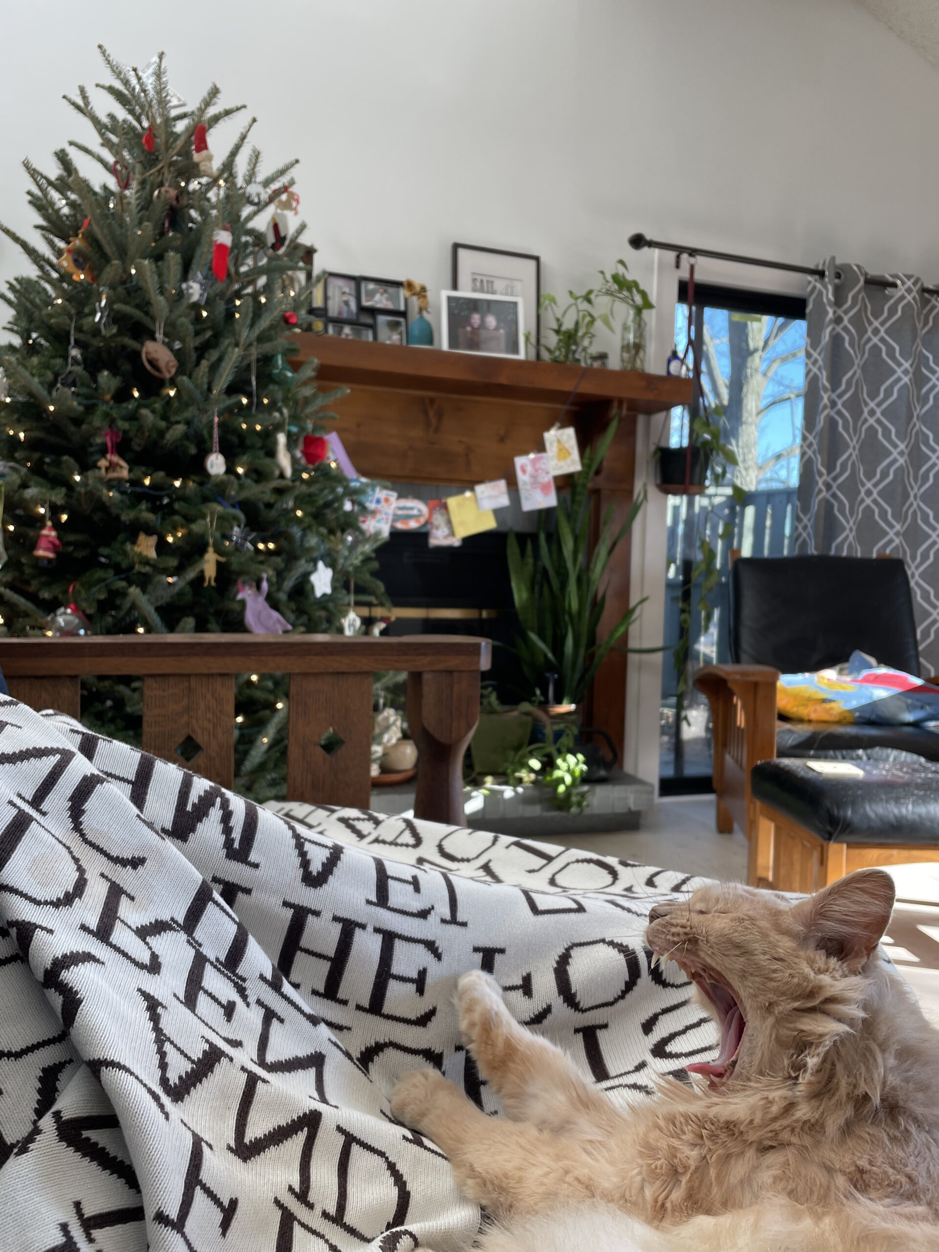 rex parker does the nyt crossword puzzle hungarian violinist with regard to gunk on a christmas tree crossword scaled Rex Parker Does The Nyt Crossword Puzzle: Hungarian Violinist with regard to Gunk On A Christmas Tree Crossword