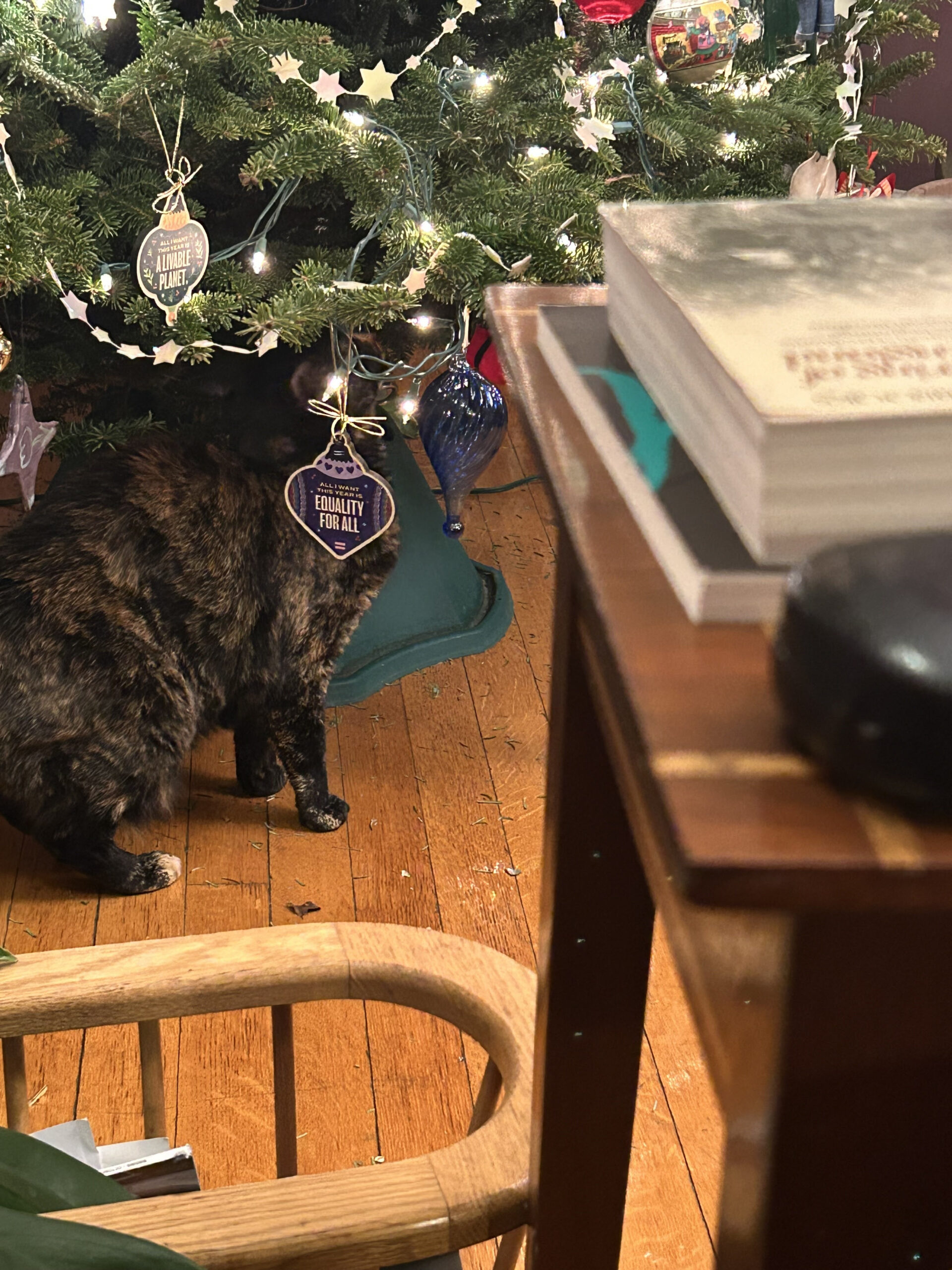 rex parker does the nyt crossword puzzle infamous bushranger throughout gunk on a christmas tree crossword scaled Rex Parker Does The Nyt Crossword Puzzle: Infamous Bushranger throughout Gunk On A Christmas Tree Crossword