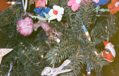 Rex Parker Does The Nyt Crossword Puzzle: Low-Key Place For for Gunk On A Christmas Tree Crossword