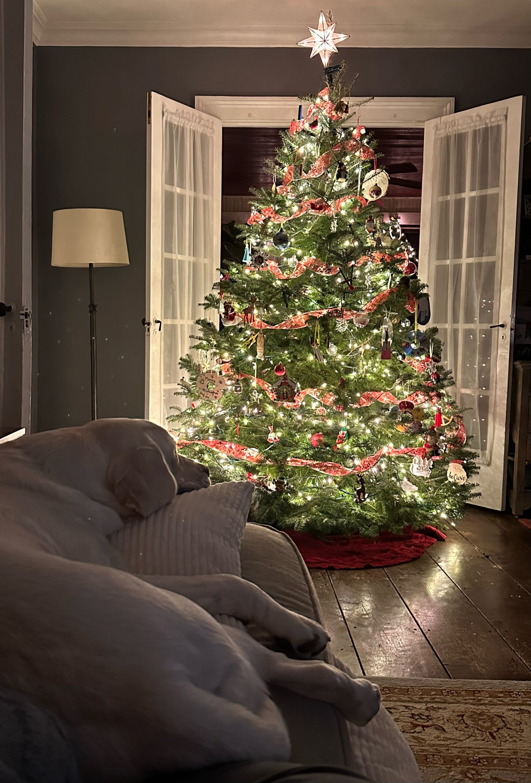 Rex Parker Does The Nyt Crossword Puzzle: Stiff Bristle in Christmas Centerpiece Nyt Crossword