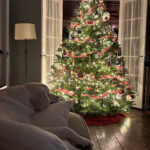 Rex Parker Does The Nyt Crossword Puzzle: Stiff Bristle With Christmas Centerpiece Nyt Crossword Clue