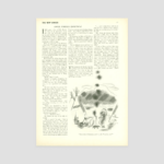 Simple Foreign Christmas | The New Yorker In Traditional Christmas Sentiment Crossword