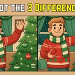 Spot The Difference: Within 9 Seconds Spot The 3 Differences In Inside Spot For Christmas Decorations Crossword