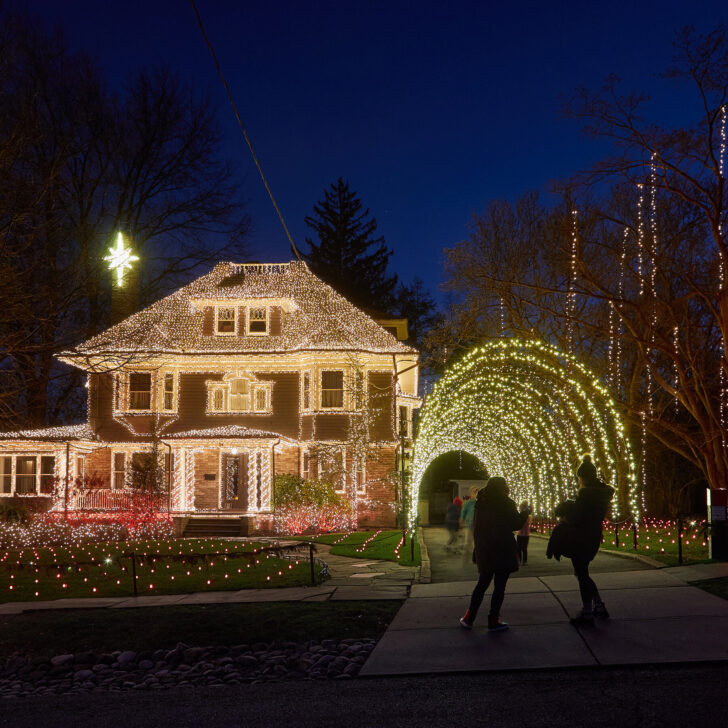 From Which Christmas Lights Might Hang Crossword
