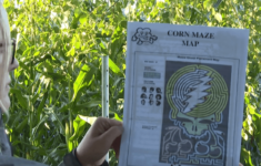 Traverse City'S Jacobs Farm Unveils Grateful Dead-Themed Corn Maze with Emmet Band Christmas Daily Themed Crossword